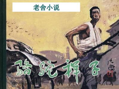 黄p软件官网